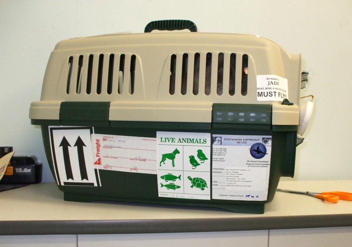 Reference photograph of a structured pet travel carrier
