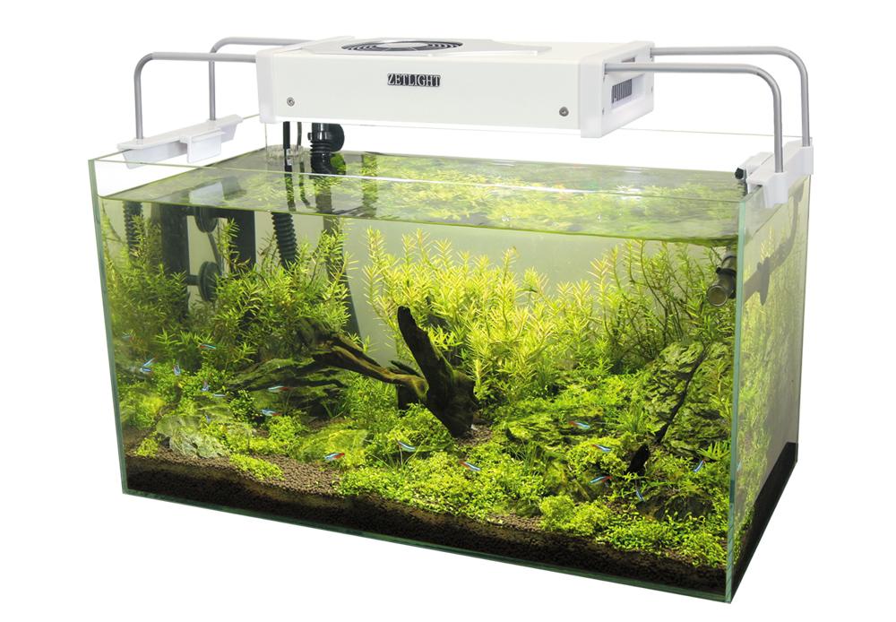 Reference photograph of an LED fixture above a planted aquarium