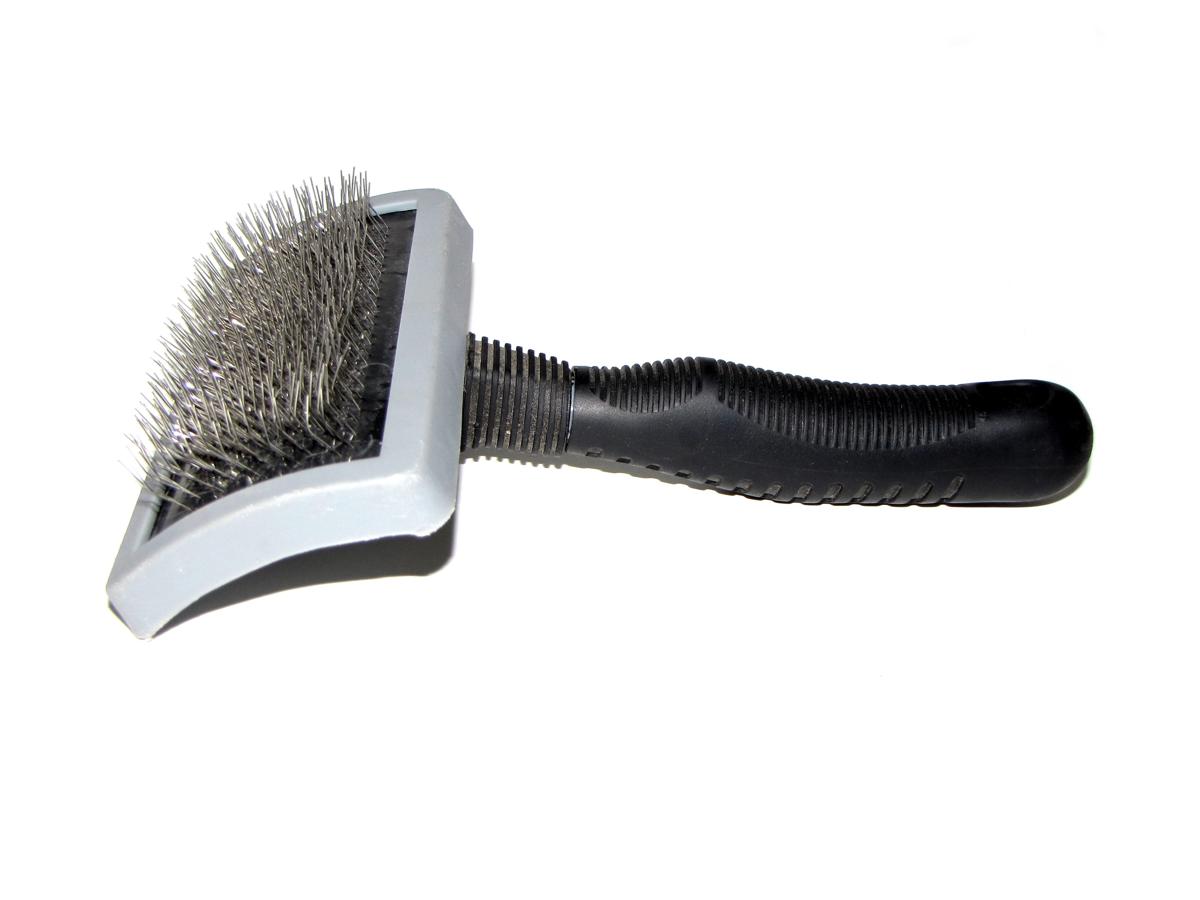 Reference photograph of a pet grooming brush